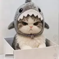kuroko